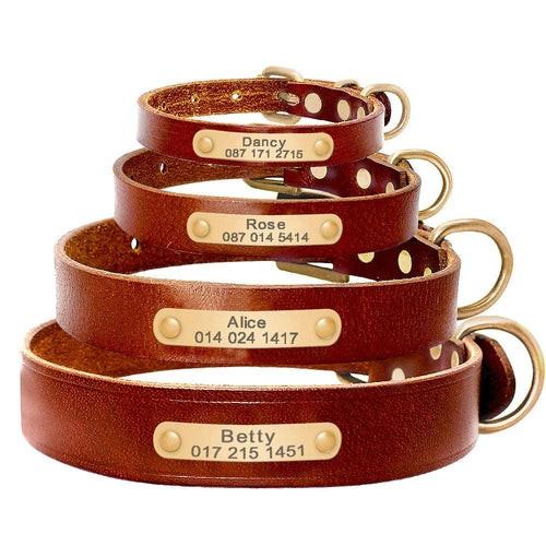 Collier en cuir personnalisé pour chien avec plaque en acier.