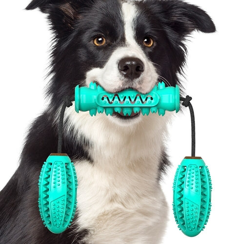 Jouet Brosse à Dents pour Chien – Nettoyage et Soin dentaire
