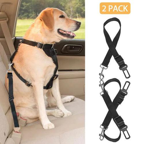 Ceinture de Sécurité pour Chien – Lot de 2.