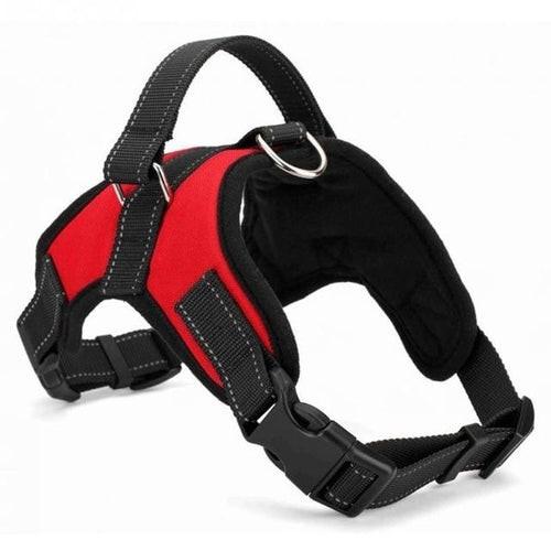Harnais Ajustable pour Chien – Confort et Sécurité.