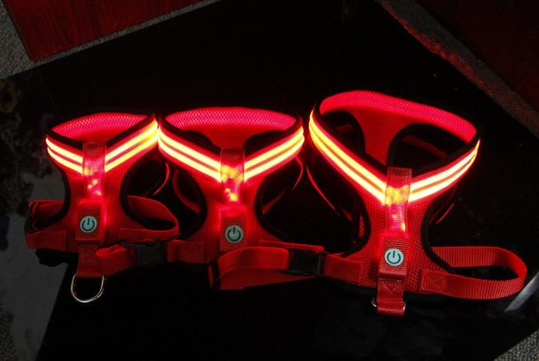 Harnais pour chien à led.