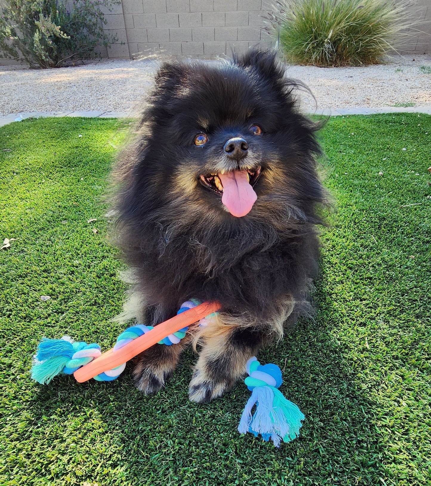 Jouet à mâcher os avec corde – Pour chiens actifs