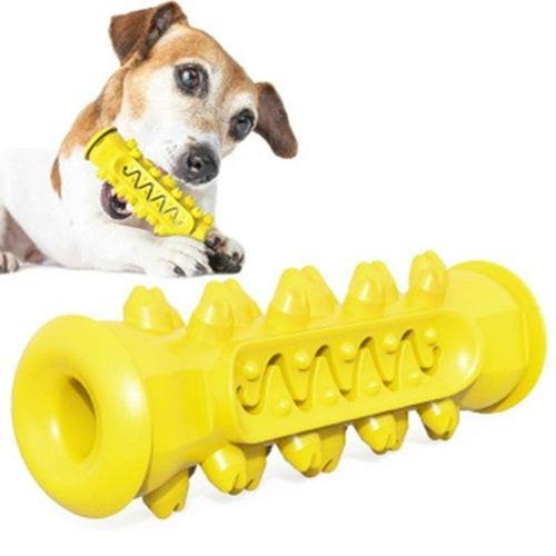 Jouet à mâcher & nettoyeur de dents pour chien.