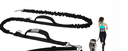 Dog training leash