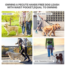 Dog training leash