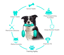 Jouet Brosse à Dents pour Chien – Nettoyage et Soin dentaire