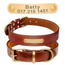 Collier en cuir personnalisé pour chien avec plaque en acier