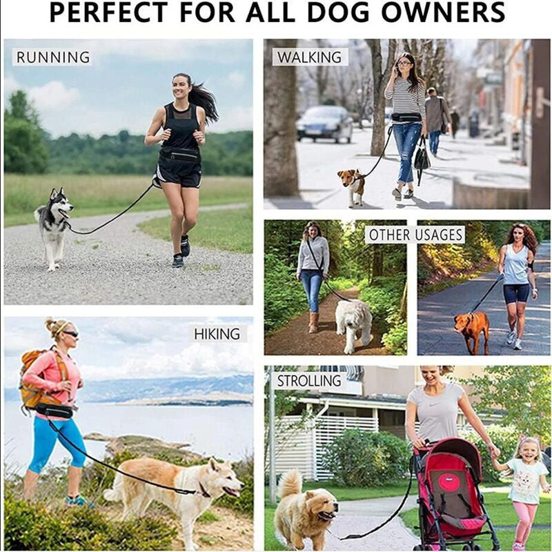 Laisse sac animal pour promenade de chien