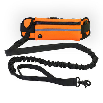 Laisse sac animal pour promenade de chien