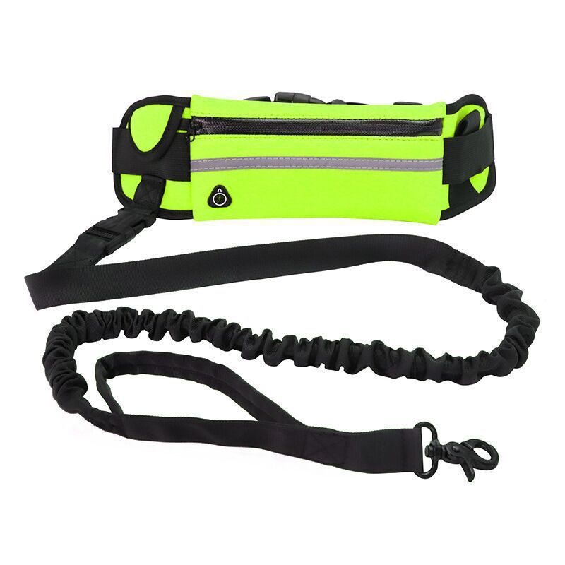 Laisse sac animal pour promenade de chien