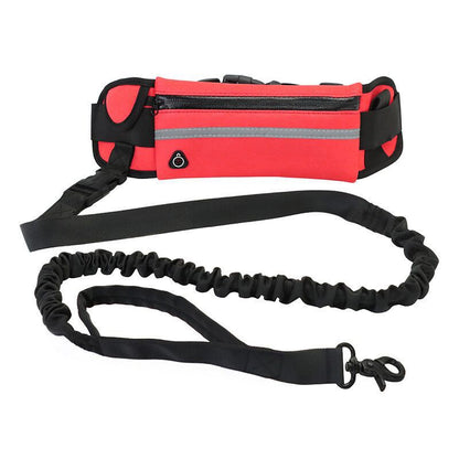 Laisse sac animal pour promenade de chien