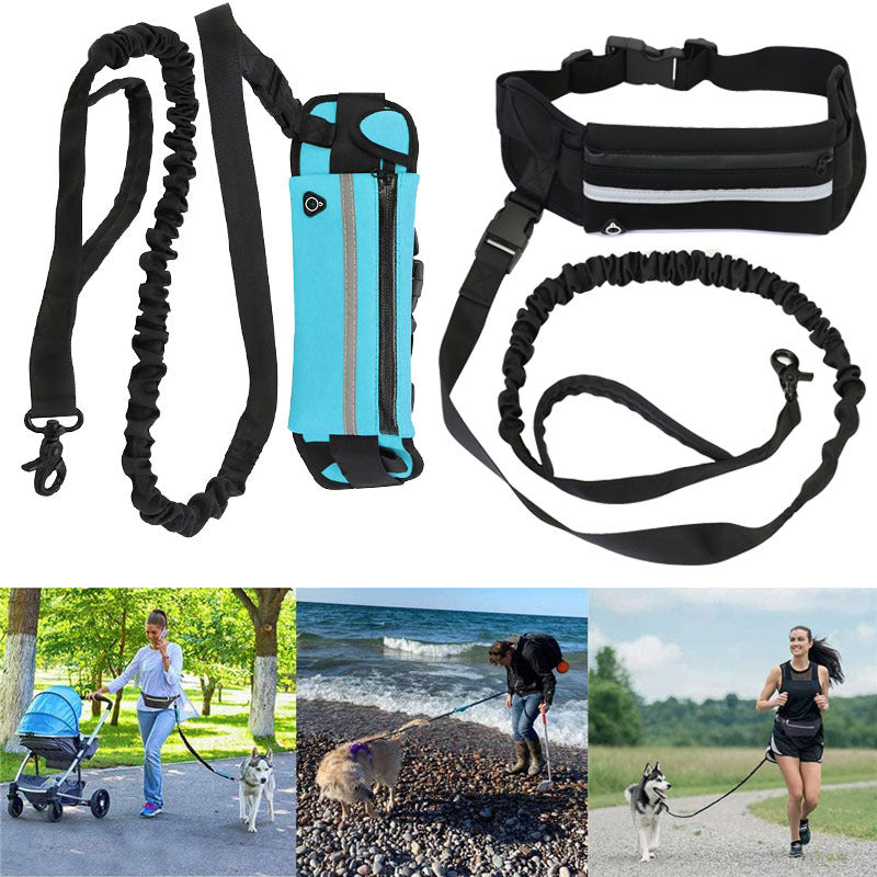 Laisse sac animal pour promenade de chien