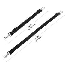 Ceinture de Sécurité pour Chien – Lot de 2