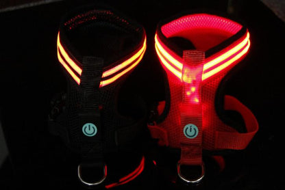 LED dog harness