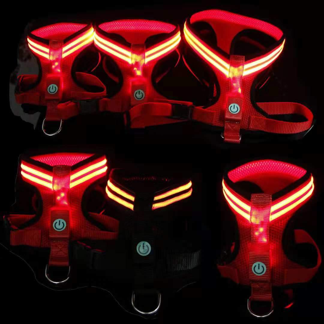 LED dog harness