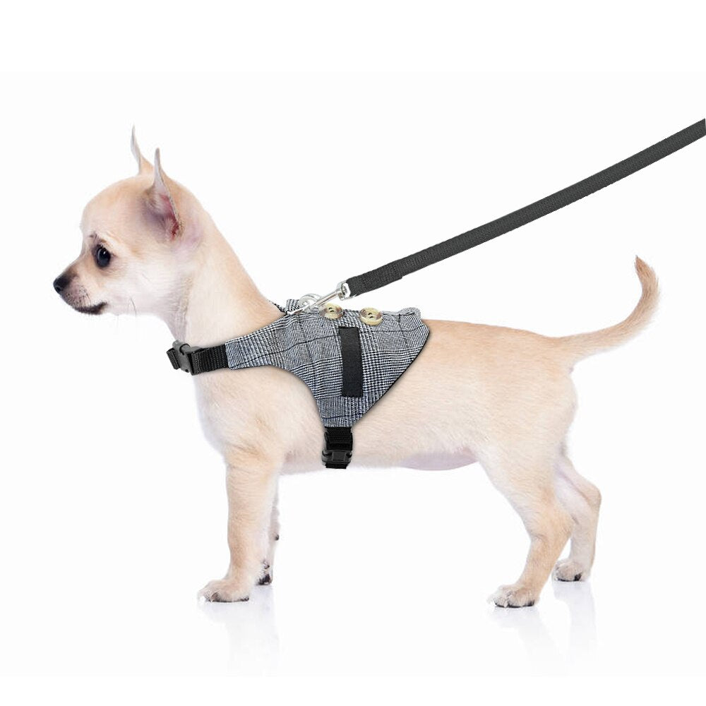 Comfort harness & leash for Rabbit, Small Dog & Cat