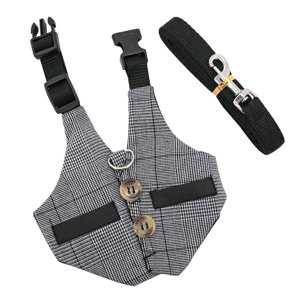 Comfort harness & leash for Rabbit, Small Dog & Cat