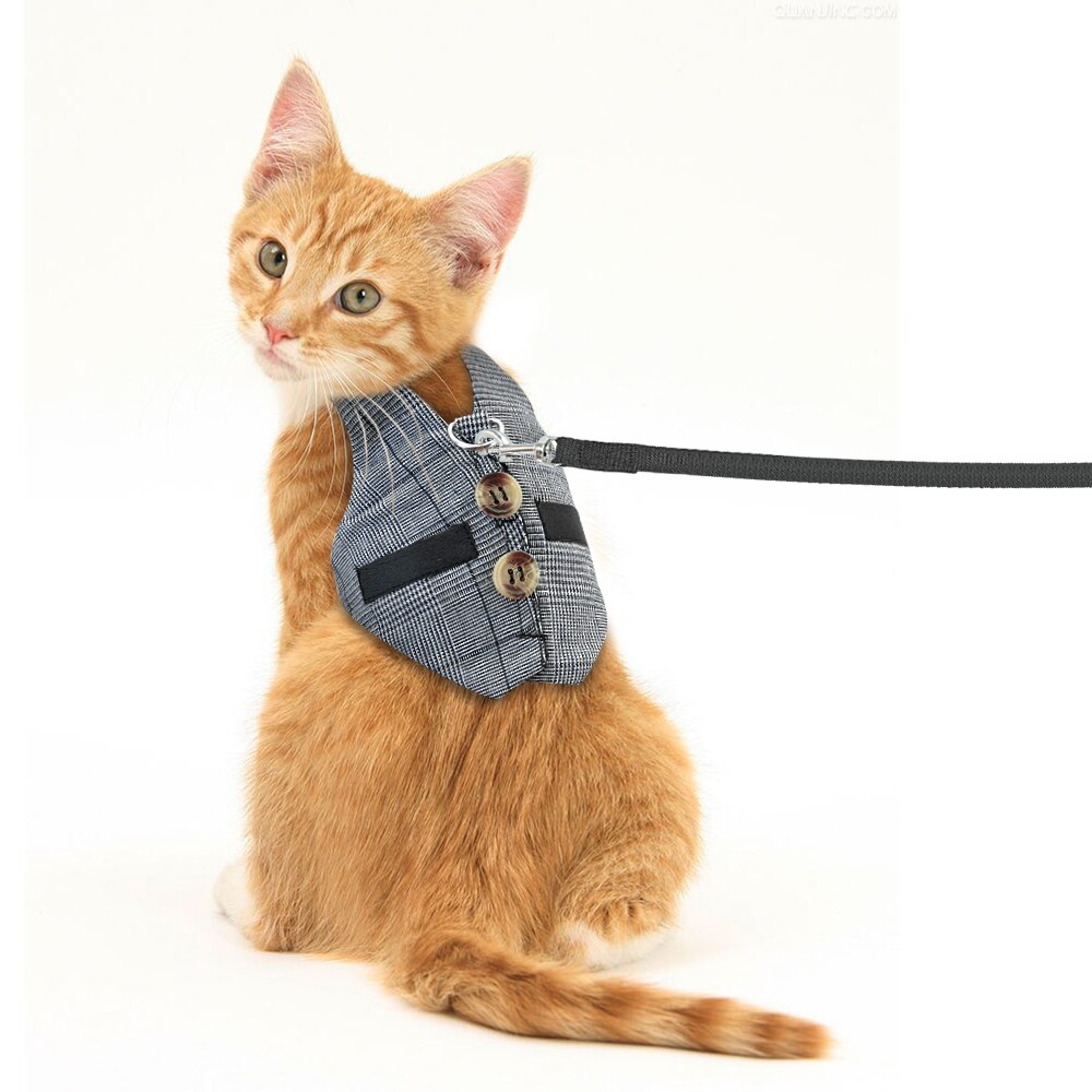 Comfort harness & leash for Rabbit, Small Dog & Cat