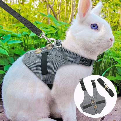 Comfort harness & leash for Rabbit, Small Dog & Cat