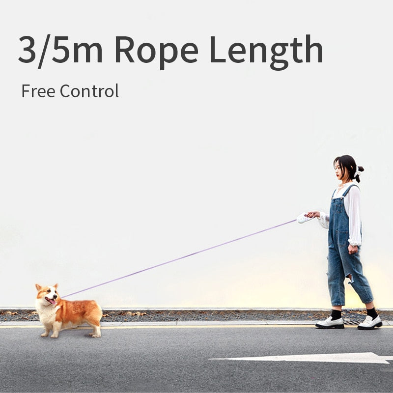 Retractable dog leash with automatic lighting