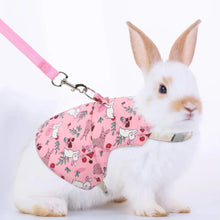 Adjustable Harness and Leash for Rabbit, Cat and Ferret