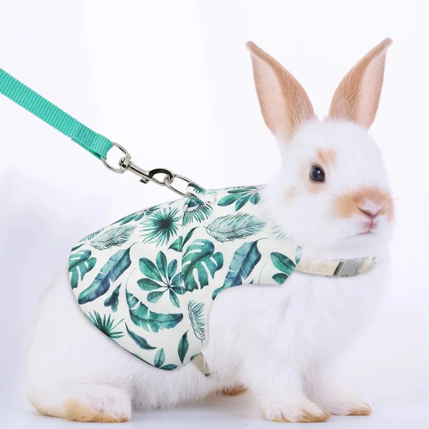 Adjustable Harness and Leash for Rabbit, Cat and Ferret