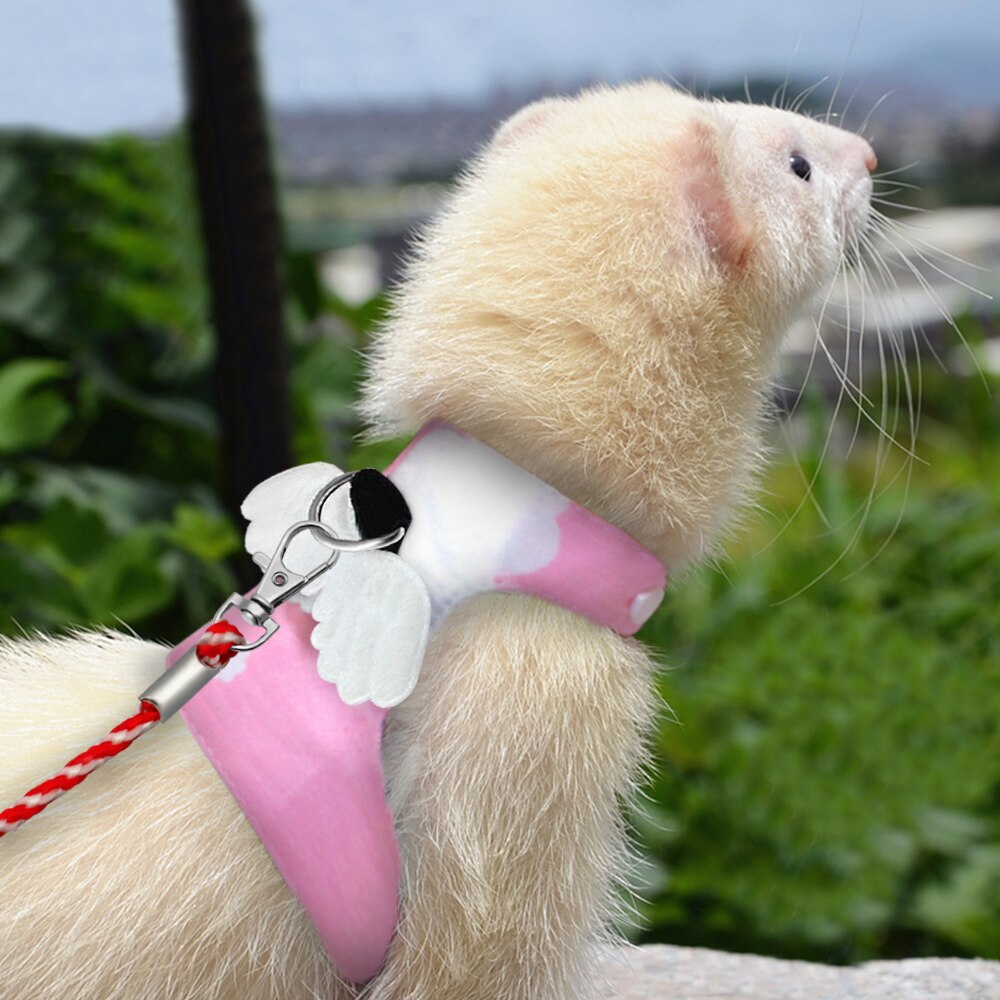 Small Animal Harness & Leash Set