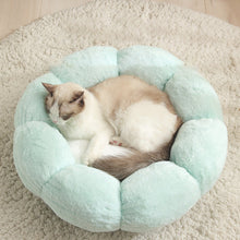 Ultra Comfort Cat Bed in Round Flowers