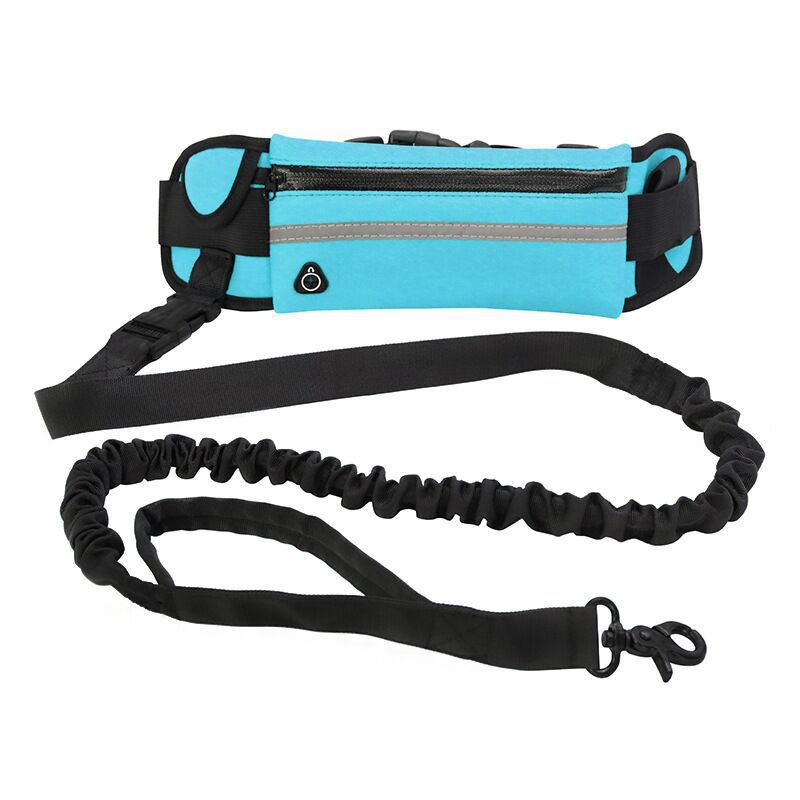 Laisse sac animal pour promenade de chien