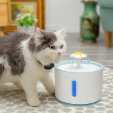 Pet Water Fountain