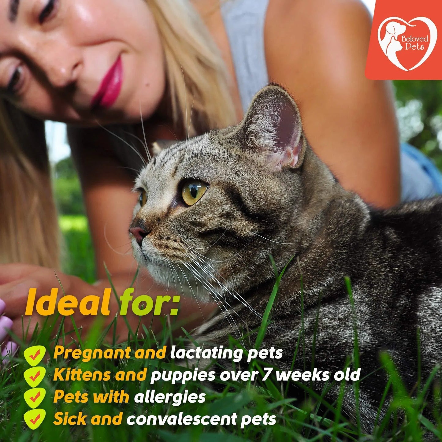 Prévention des puces et des tiques pour chiens chats lapins traitement naturel contre les puces