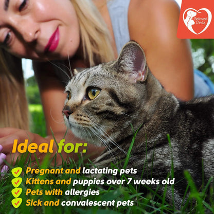 Prévention des puces et des tiques pour chiens chats lapins traitement naturel contre les puces