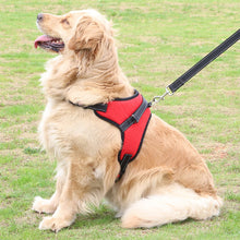 Harnais Ajustable pour Chien – Confort et Sécurité