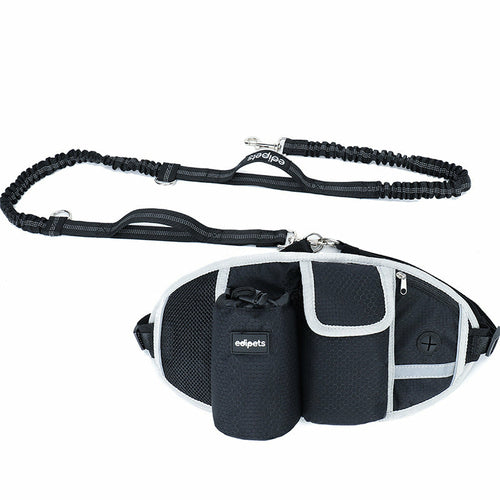 Dog training leash