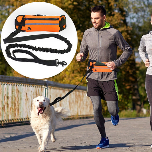 Laisse sac animal pour promenade de chien