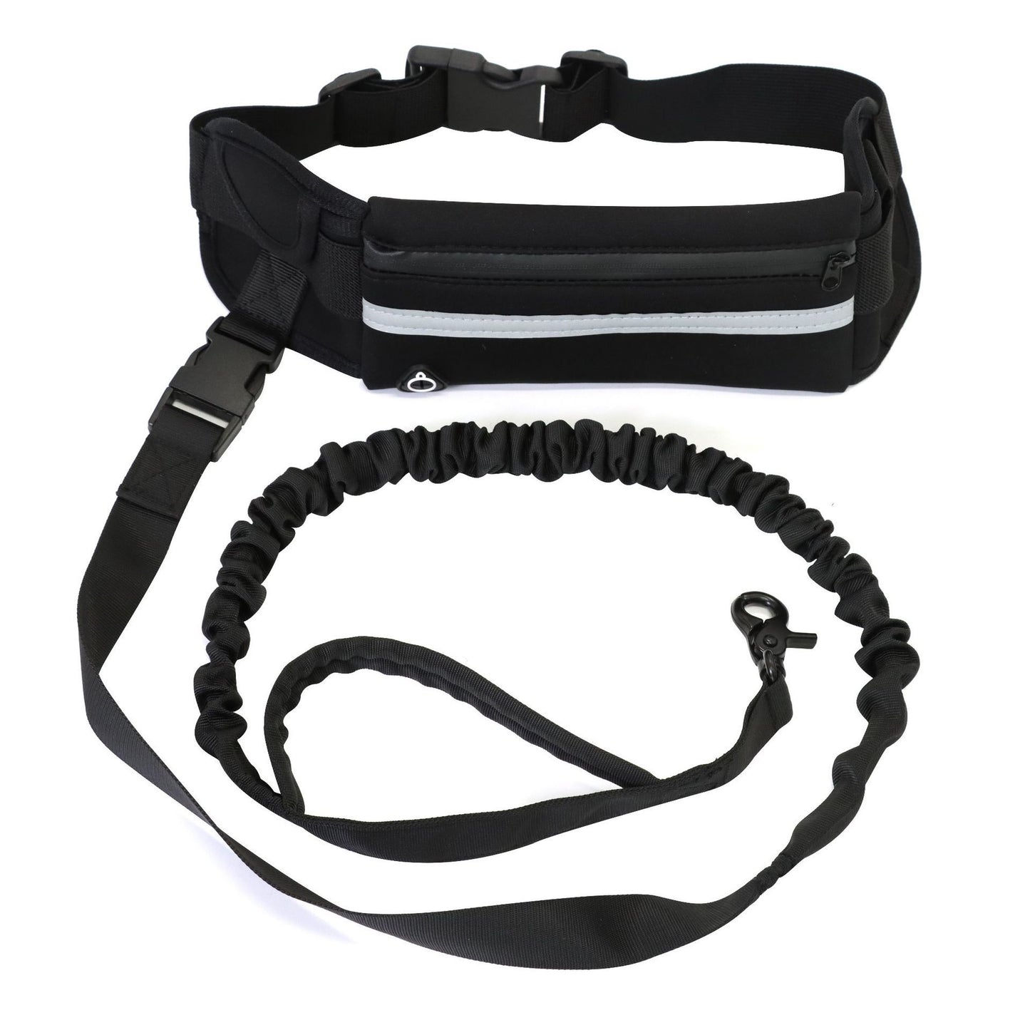 Laisse sac animal pour promenade de chien