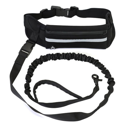 Laisse sac animal pour promenade de chien