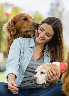 Kit de promenade et de voyage pour chien | Ensemble propre et contrôle