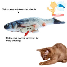 Interactive Fish - Make your Cat Vibrate! 🐟✨