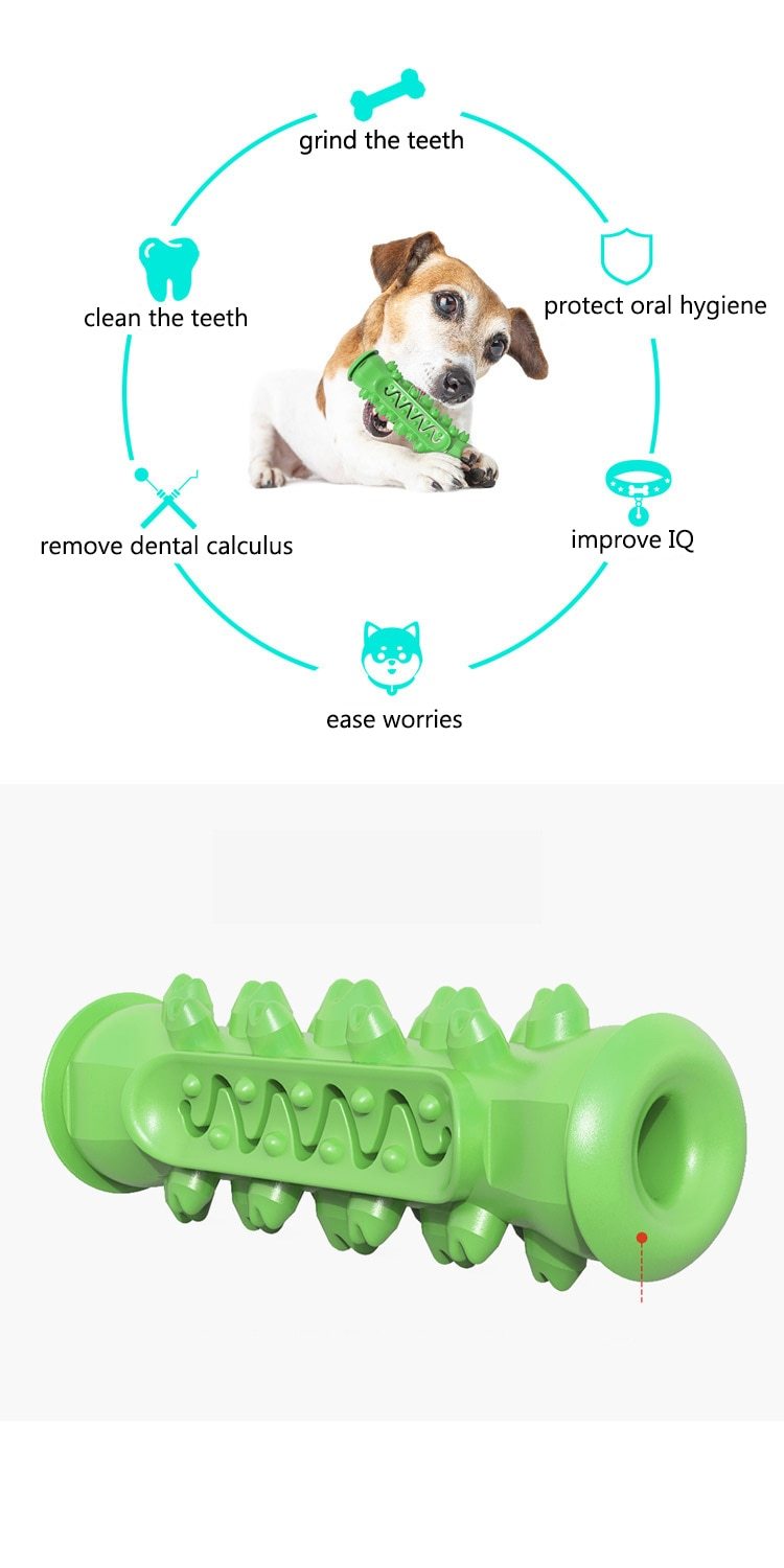 Dog Chew Toy & Teeth Cleaner